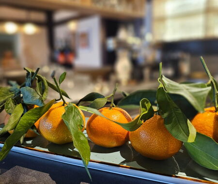 PHOTO 2026 01 29 14 38 58 8